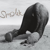 Med 3 - Smolik, Mika Urbaniak