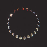 Stormborn - Mystery Jets