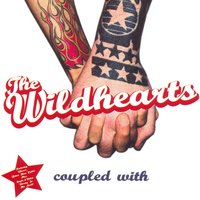 Better Than Cable - The Wildhearts