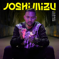 Vielleichtlebig - Joshi Mizu