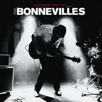 The Whiskey Lingers - The Bonnevilles
