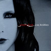 Hoşçakal - Şebnem Ferah