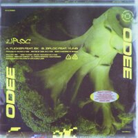 Flicker - ODEE