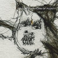 Eavesdropping - Grizzly Bear