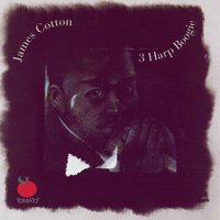 Diggin' My Potatoes - James Cotton