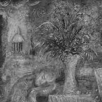 The Ghost - mewithoutYou