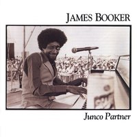 Goodnight Irene - James Booker