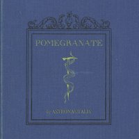 Avalanche Patrol - Astronautalis