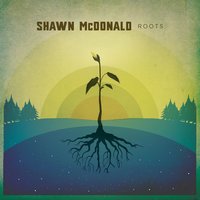 Clarity - Shawn McDonald