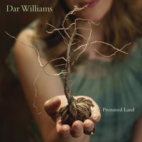 Buzzer - Dar Williams