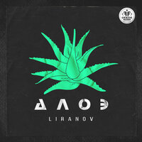 Алоэ - LIRANOV