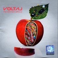 Si Ce / So What - Voltaj