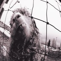 Rearviewmirror - Pearl Jam
