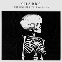 Sweet Harness - Sharks