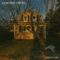 Common Blah - Weakened Friends