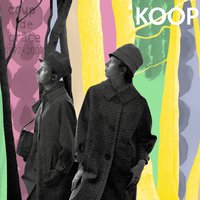 Summer Sun - Koop