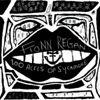 For a Nightingale - Fionn Regan