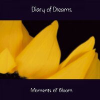 Predictions - Diary of Dreams
