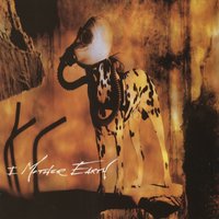 Rain Will Fall - I Mother Earth