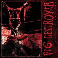 Delusional Supremacy - Pig Destroyer