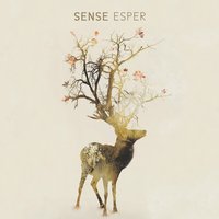 Last Cigarette - SENSE