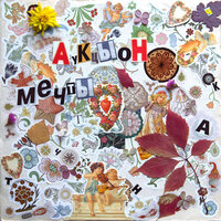 Каникулы - АукцЫон