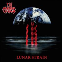 Starforsaken - In Flames