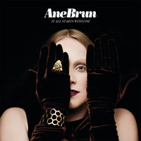 I Would Hurt A Fly - Ane Brun