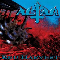 Spikes and Pain - Altar