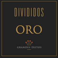 Voodoo Chile - Divididos