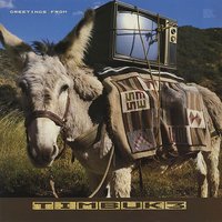 Friction - Timbuk 3