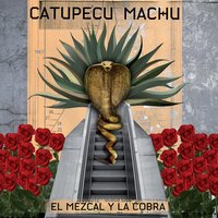 Vi Llover - Catupecu Machu