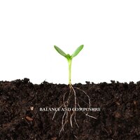 Burdens - Balance and Composure