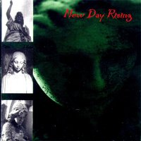 Hired Angel - New Day Rising