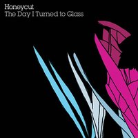 Polaroid Lullaby - Honeycut