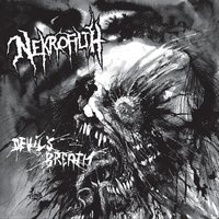 Crave the Grave - Nekrofilth