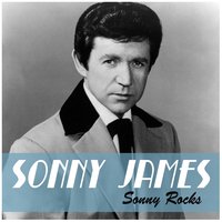 Young Love.M4a - Sonny James