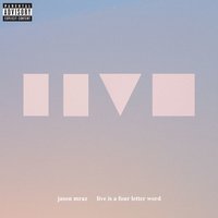 You Fckn' Did It - Jason Mraz
