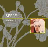 İçime Sinmiyor - Sezen Aksu