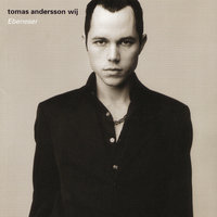 Parasit - Tomas Andersson Wij