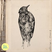 Luftslott - Kråkesølv