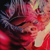 Birds Of Paradise - Chromatics