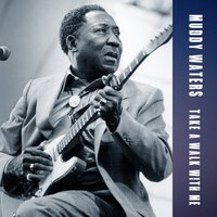 Burr Clover Farm Blues - Muddy Waters