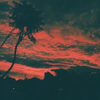 A Vision That's Changed - Malena Zavala