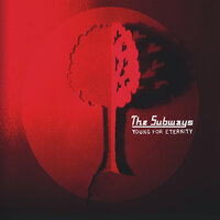 Somewhere - The Subways