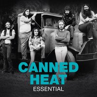 Sugar Bee - Canned Heat
