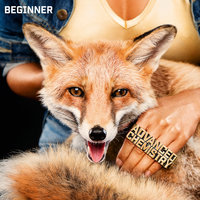 Schelle - Beginner