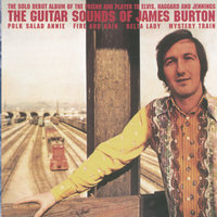 Polk Salad Annie - James Burton