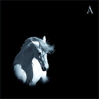 Дуй - Аквариум