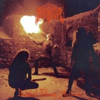Cryptic Winterstorms - Immortal